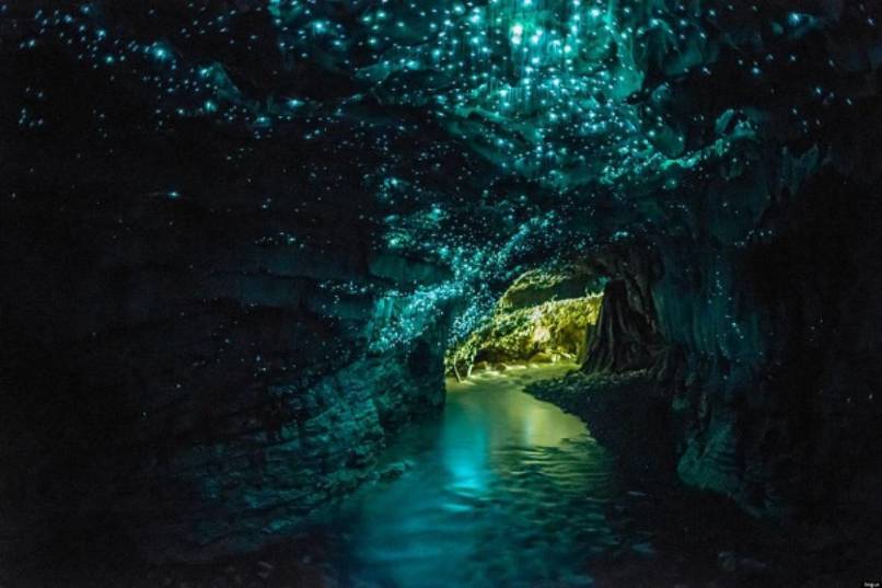 Glow worm caves.jpg