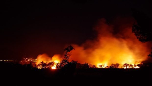 Fire on Haldon IV Engulfs Forest